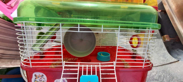 Hamster cage with accessories  in Small Animals for Rehoming in Winnipeg - Image 2