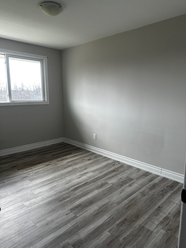 Private room for rent for female.  in Room Rentals & Roommates in Hamilton