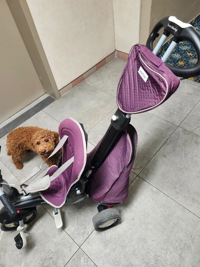 SmarTike kid stroller for sale,asking 50$ in Kids in Windsor Region - Image 6