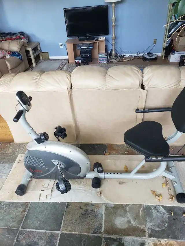 Sunny Recumbent Bike65709806587521120
