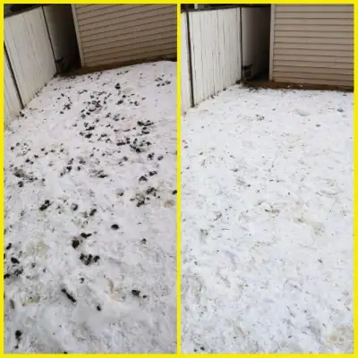 Poooh Busters - Winter Poop Pickup, View more