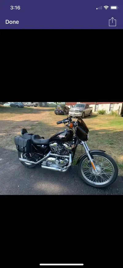 2000 Harley Davidson 1200 sportster great bike low mileage only 22,000 km saddlebags 5500 or best of...