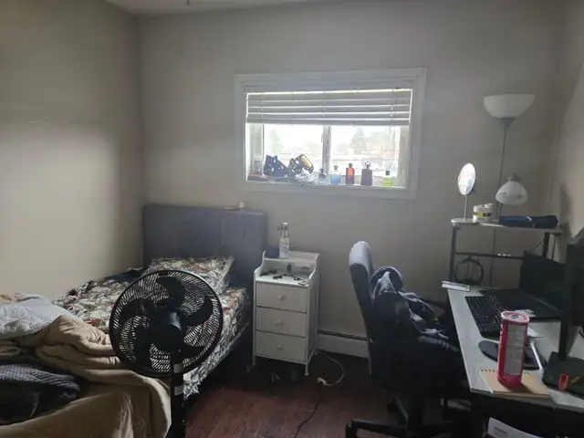 AVAILABLE NOW – 2 BEDROOM APARTMENT IN KITCHENER (27 Secord Ave in Long Term Rentals in Kitchener / Waterloo - Image 11