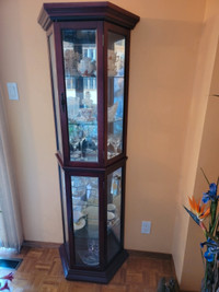 Moving sale - Curio cabinet