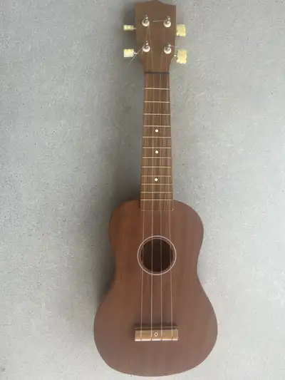 raven in Guitars in Canada | Kijiji Marketplaces