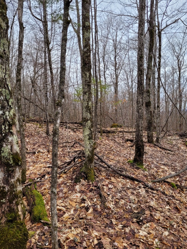 Terrain à vendre, 10 000/acre Land for Sale Gatineau Kijiji