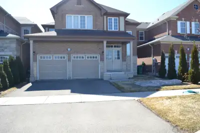 Beautiful Spacious 2 Bedroom Excellent Condition Basement For Viewing -Pleases Call-416-799-1616 in...