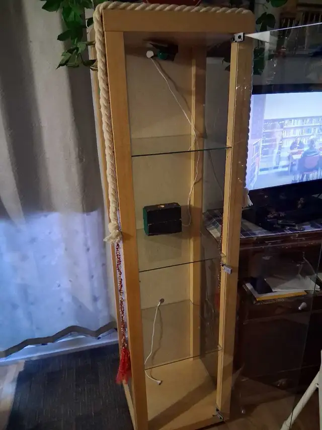 Vitrine mesure 69 pouces de hauteur X 18 pouces de largeur X16 p in Bookcases & Shelving Units in Longueuil / South Shore - Image 2