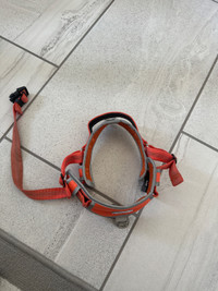 Dog harnesses leashes 