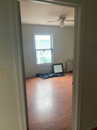 Looking for a roomate