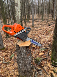 Chainsaw sharpening/ tree services