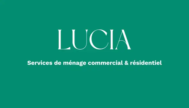 Residential, commercial and post-construction cleaning62863223351811129