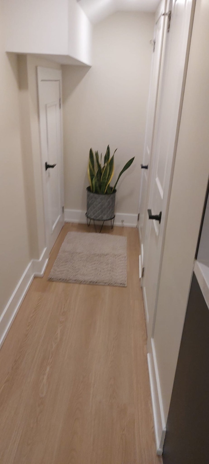 Brand new furnished basement apartment for rent 2