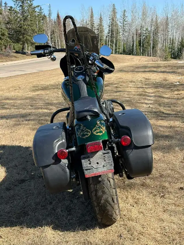 2014 Harley-Davidson street bob in Street, Cruisers & Choppers in Fort McMurray - Image 5
