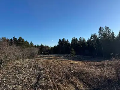 3/4 acre off trunk 7