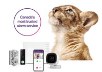 installing telus doorbell camera