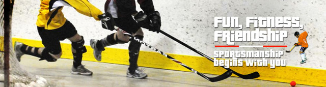 Join Douro Men's Ball Hockey League in Sports Teams in Peterborough