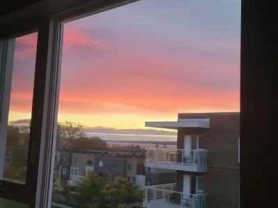 Cession de bail. Date d'occupation flexible, idéalement autour du 1er avril J'ai une vidéo de l'appa...