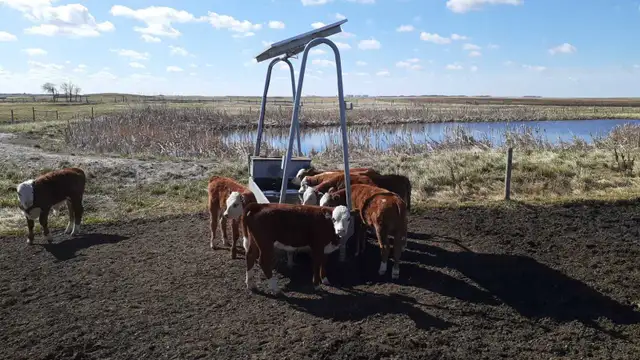 Portable water buggy in Other in Red Deer - Image 2