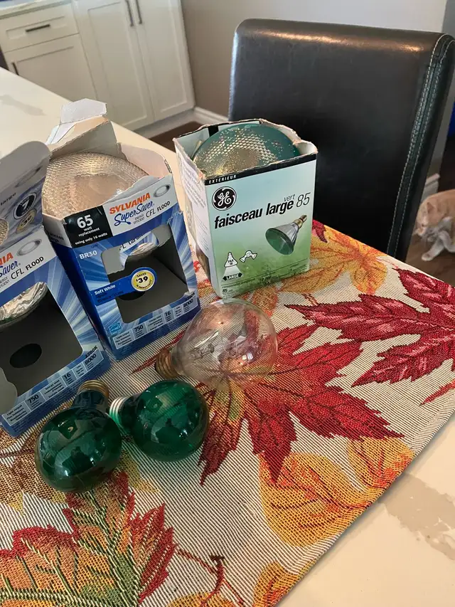 Light Bulbs in Indoor Lighting & Fans in Brantford - Image 3