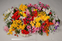 Artificial Flowers 