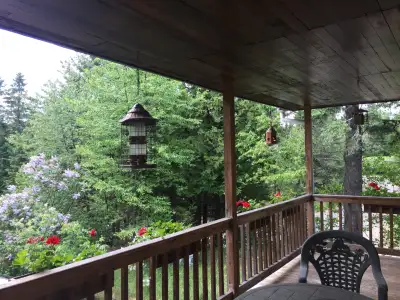 CITQ : 219354 Chalet à louer de style rustique sur deux étages , 3 chambres à coucher + boudoir avec...