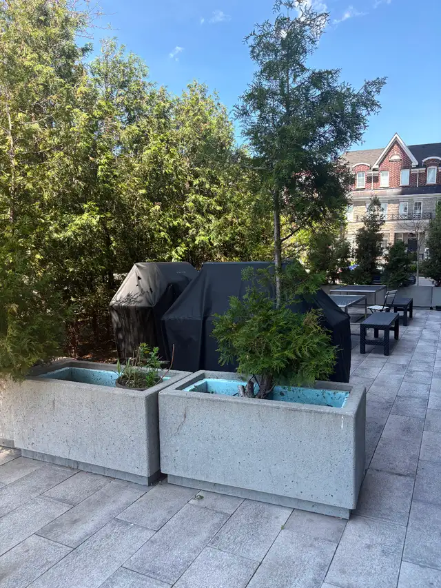 Condo for rent in Long Term Rentals in City of Toronto - Image 11