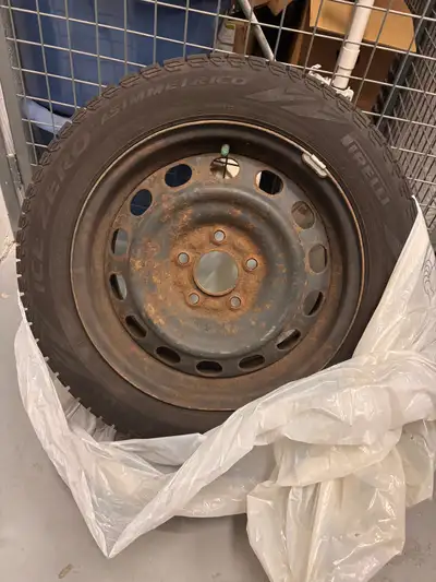 Set of winter tires on steel rims Pirelli Ice Zero Asimmetrico Rims have rust but tires still usable...