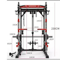 Smith machine cables squat rack cage home gym 