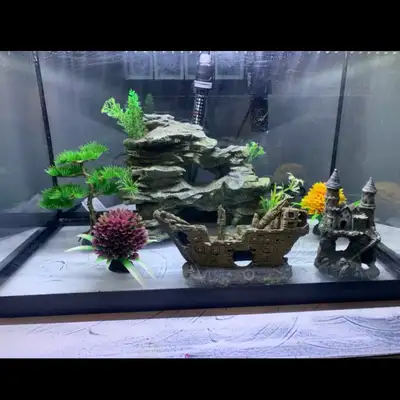 20 Gallon fish aquarium , View more