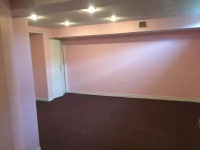 bachelor on basement jane and wilson