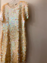Unique and beautiful sequined dress