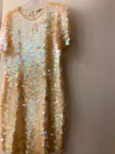 Unique and beautiful sequined dress, View more