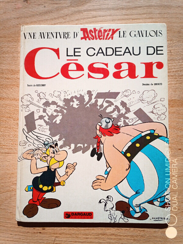 French comic book collection: Astérix,Schtroumphs,Buck Danny...! in Comics & Graphic Novels in Ottawa - Image 4