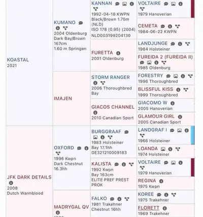 2026 In-Utero CWBHA eligible Foal, View more
