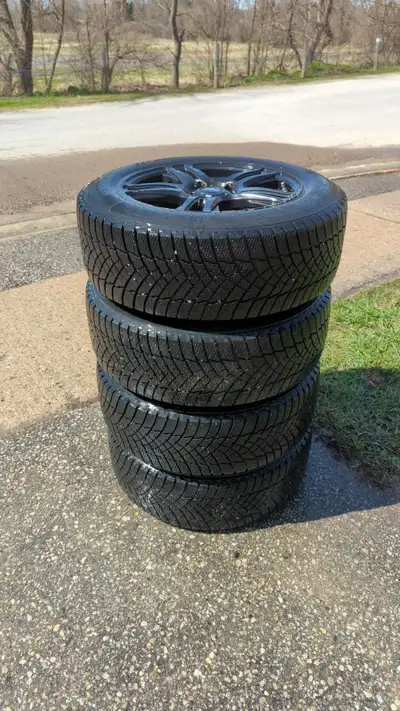 Nearly new Motormaster Winter Edge 2 winter tires. Tires bought new in Nov 2023 and drivein for 2 mo...