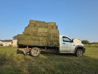 Small Square Bales, View more
