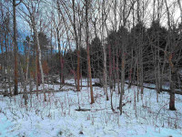 2.89 Acres of Land for sale in a great location!!
