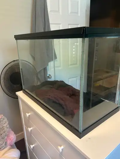 20 Gallon tank, View more