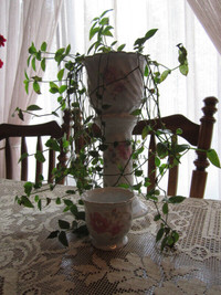 China plant pot with stand  and matching candy dish