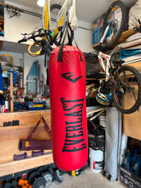 Everlast Nevatar 80lb Heavy Boxing Bag