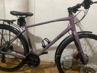 Liv (Giant) hybrid bike 700x38c tires size 