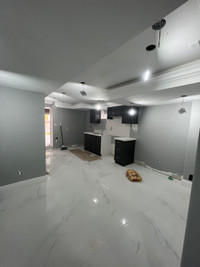 Basement renovation 