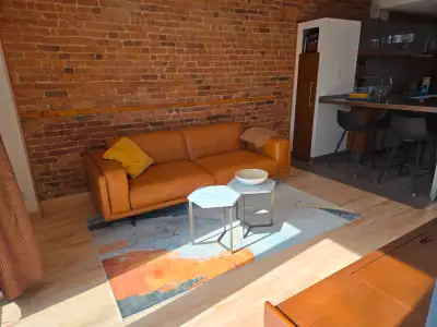 Bel appartement 4 1/2 Plateau