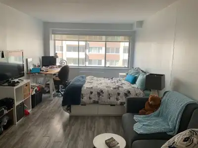 Studio spacieux  (456 pieds carrés) transfert de bail