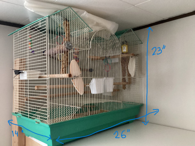 Budgie cages in Accessories in North Bay - Image 3