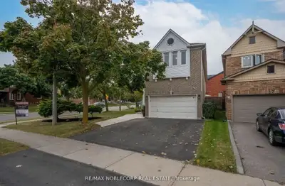 Basement for rent
