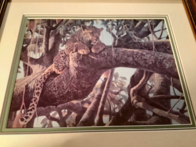 Cdn Robert Bateman’s 1979 Print “Leopard in a Sausage Tree” in Arts & Collectibles in Belleville - Image 4