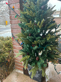 Outdoor ornamental Christmas tree with lights!