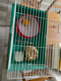 Small animal cage + accessories